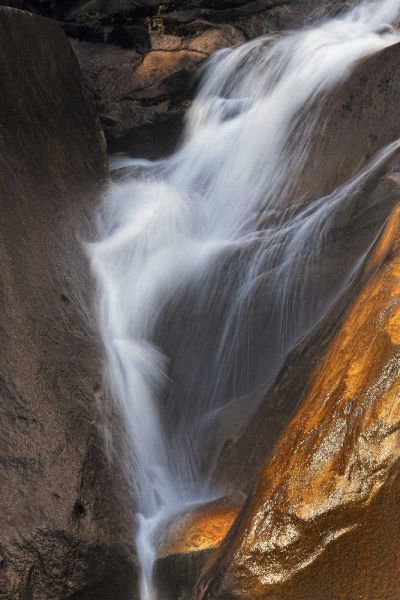 California, Yosemite Stream flowing over rocks